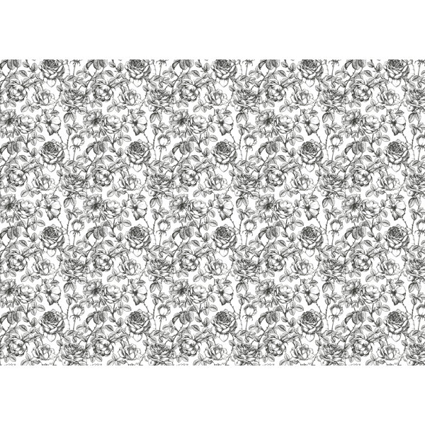 Anewall Black And White Floral Wallpaper Perigold